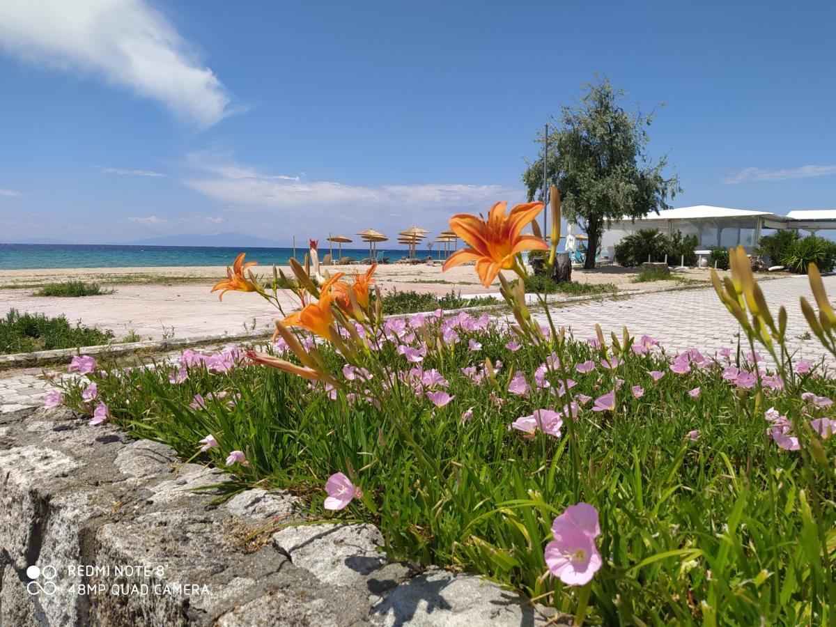 Апарт отель Hause Zorbas Паралия-Дионисиу Экстерьер фото