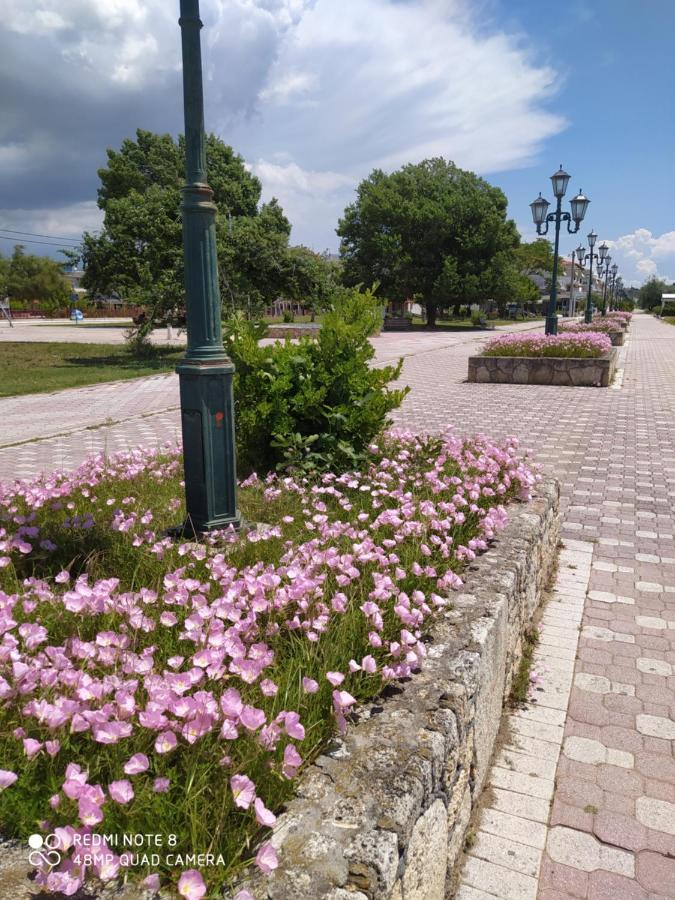 Апарт отель Hause Zorbas Паралия-Дионисиу Экстерьер фото